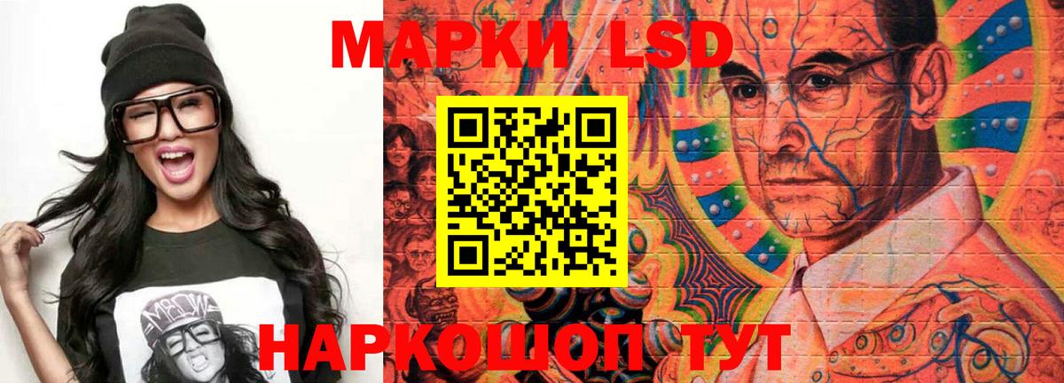 Галлюциногенные грибы Владимир