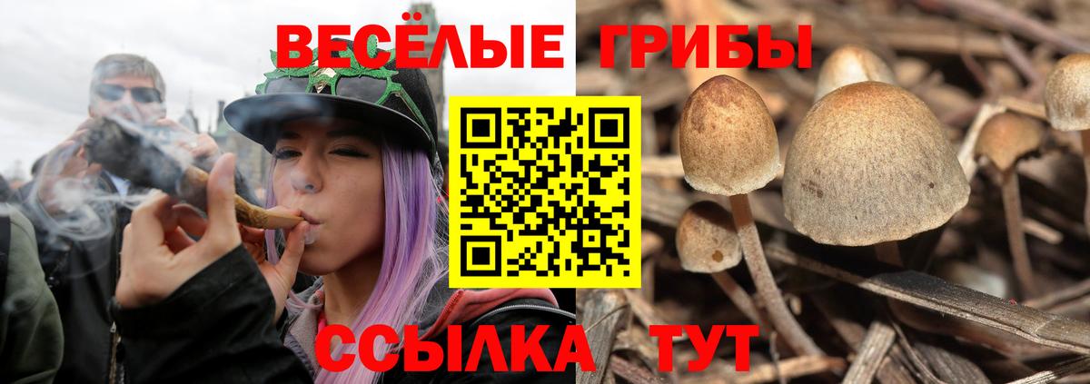 Псилоцибиновые грибы Magic Shrooms Владимир